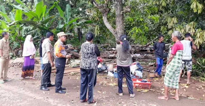 Tertimpa Pohon, Satu Rumah di Butur Rata Dengan Tanah
