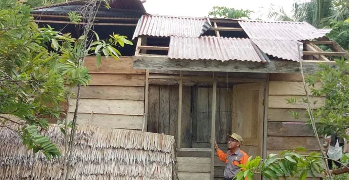 Tertimpa Pohon, Satu Rumah di Butur Rata Dengan Tanah