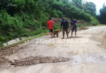 Dilalui Truk Pengangkut Sawit, Jalan Umum Desa Andeo Rusak Parah Dilalui Truk Pengangkut Sawit, Jalan Umum Desa Andeo Rusak Parah