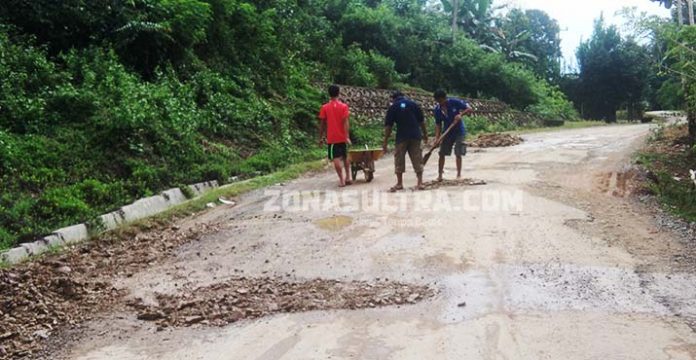 Dilalui Truk Pengangkut Sawit, Jalan Umum Desa Andeo Rusak Parah