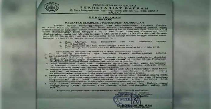 Cegah Rabies, Pemkot Baubau Eliminasi Anjing Liar