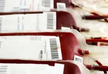 Stok Darah Selama Ramadhan di Kendari Masih Cukup Stok Darah Selama Ramadhan di Kendari Masih Cukup