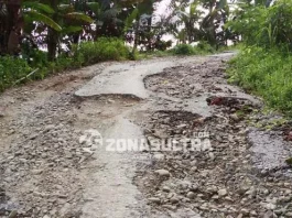 Jalan Trans Sulawesi di Kolut Rusak Parah, Warga Purehu Menderita Jalan Trans Sulawesi di Kolut Rusak Parah, Warga Purehu Menderita