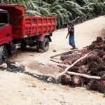 Truk Pengangkut Sawit Perparah Kerusakan Jalan Penghubung Lasolo-Meluhu Truk Pengangkut Sawit Perparah Kerusakan Jalan Penghubung Lasolo-Meluhu