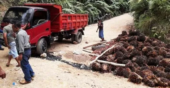 jalan_penghubung Truk Pengangkut Sawit Perparah Kerusakan Jalan Penghubung Lasolo-Meluhu