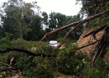 Truk Pengangkut Sawit Perparah Kerusakan Jalan Penghubung Lasolo-Meluhu