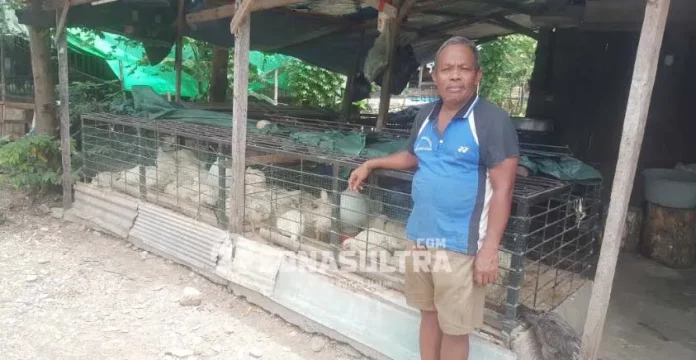 Masuk Ramadan, Harga Sembako di Kolut Merangkak Naik