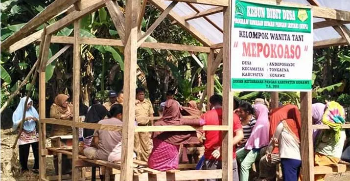 DKP Konawe Perkenalkan Program KRPL kepada Masyarakat