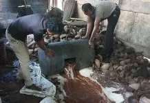 Polres Wakatobi Amankan Ribuan Liter Miras Tradisional Polres Wakatobi Amankan Ribuan Liter Miras Tradisional