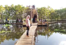 Jembatan Pelangi Danau Gempol, Destinasi Baru di Mubar Jembatan Pelangi Danau Gempol, Destinasi Baru di Mubar