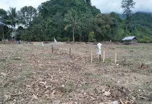 Lahan Bermasalah, Pembangunan Pasar Pundoho Kolut Dihentikan Sementara Lahan Bermasalah, Pembangunan Pasar Pundoho Kolut Dihentikan Sementara