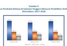 Tenaga Kerja di Sultra Didominasi Lulusan SMP, S1 Terendah Tenaga Kerja di Sultra Didominasi Lulusan SMP, S1 Terendah