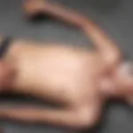 Dua Pelajar di Buton Tenggelam Saat Rekreasi Sekolah, Satu Meninggal Dua Pelajar di Buton Tenggelam Saat Rekreasi Sekolah, Satu Meninggal