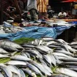 Pasokan Ikan dan Sayur Membaik, Sultra Alami Deflasi ilustrasi penjual ikan