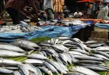 Harga Ikan Melonjak di Kota Kendari ilustrasi penjual ikan
