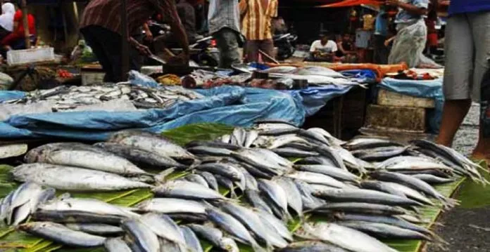 ilustrasi penjual ikan