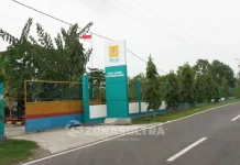 Listrik di Wangiwangi Seperti Lampu Disko, Begini Penjelasannya PLN Listrik di Wangiwangi Seperti Lampu Disko, Begini Penjelasannya PLN