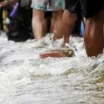 Sudah Lima Hari Dusun Anambada Koltim Dikepung Banjir ilustrasi banjir