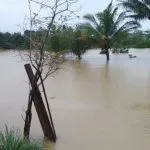 banjir sungai wanggu