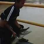 Sering Diguyur Hujan, Warga di Tinanggea Khawatir Munculnya Buaya Muara Sering Diguyur Hujan, Warga di Tinanggea Khawatir Munculnya Buaya Muara