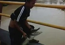 Sering Diguyur Hujan, Warga di Tinanggea Khawatir Munculnya Buaya Muara Sering Diguyur Hujan, Warga di Tinanggea Khawatir Munculnya Buaya Muara