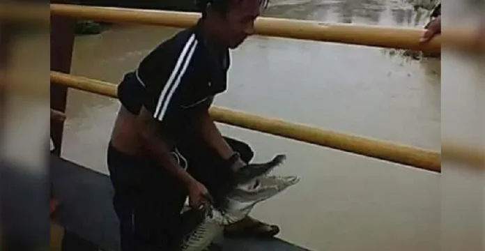 Sering Diguyur Hujan, Warga di Tinanggea Khawatir Munculnya Buaya Muara