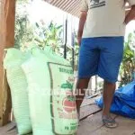 Dua KK di Mubar Keracunan Usai Konsumsi Beras Dua KK di Mubar Keracunan Usai Konsumsi Beras