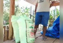 Dua KK di Mubar Keracunan Usai Konsumsi Beras Dua KK di Mubar Keracunan Usai Konsumsi Beras