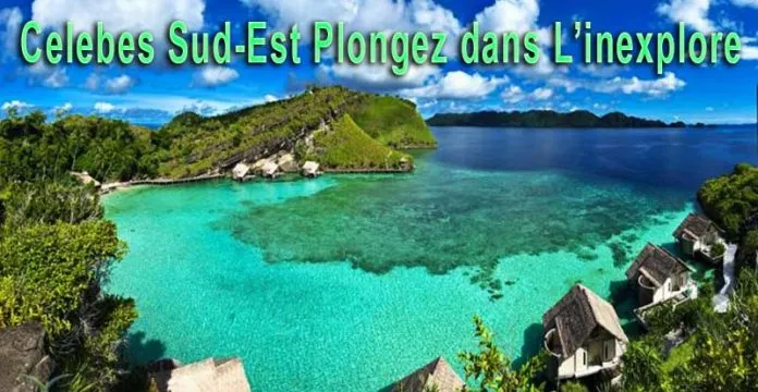Celebes Sud-Est Plongez dans L’inexplore