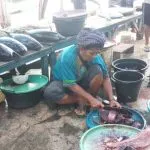 harga ikan di wakatobi