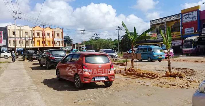 Kesal Tak Kunjung Diperbaiki, Warga Kendari Tanam Pisang di Tengah Jalan