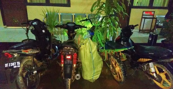 Pencurian Berantai, Tiga Pemuda di Konawe Diringkus Polisi