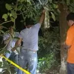 Pekerja Empang di Muna Ditemukan Tergantung di Pohon Nangka Pekerja Empang di Muna Ditemukan Tergantung di Pohon Nangka