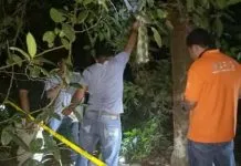 Pekerja Empang di Muna Ditemukan Tergantung di Pohon Nangka Pekerja Empang di Muna Ditemukan Tergantung di Pohon Nangka