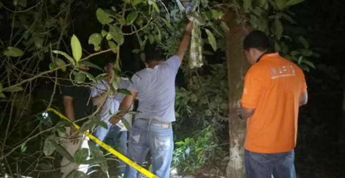 Pekerja Empang di Muna Ditemukan Tergantung di Pohon Nangka