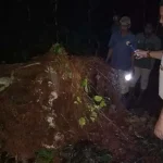 Tertimpa Pohon Tumbang, Seorang Remaja di Muna Tewas Tertimpa Pohon Tumbang, Seorang Remaja di Muna Tewas