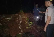 Tertimpa Pohon Tumbang, Seorang Remaja di Muna Tewas Tertimpa Pohon Tumbang, Seorang Remaja di Muna Tewas