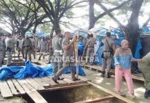 Satpol PP Muna Bongkar Puluhan Lapak PKL Laino Satpol PP Muna Bongkar Puluhan Lapak PKL Laino