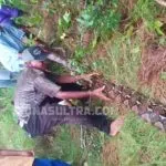 Warga Lapandewa Busel Juga Temukan Ular Piton Sepanjang 7 Meter Warga Lapandewa Busel Juga Temukan Ular Piton Sepanjang 7 Meter
