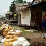 Abrasi Pantai, Jalan Desa Hancur, 8 Rumah Warga Konut Nyaris Runtuh Abrasi Pantai, Jalan Desa Hancur, 8 Rumah Warga Konut Nyaris Runtuh