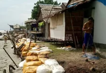 Abrasi Pantai, Jalan Desa Hancur, 8 Rumah Warga Konut Nyaris Runtuh Abrasi Pantai, Jalan Desa Hancur, 8 Rumah Warga Konut Nyaris Runtuh