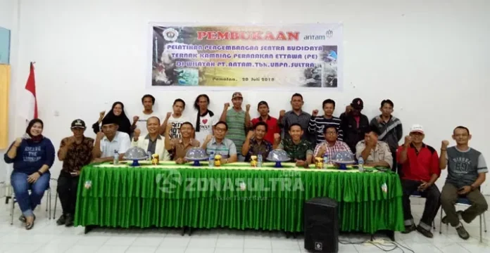 ANTAM Bantu Pengembangan Sentra Budidaya Ternak Kambing di Pomalaa