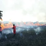 Taman Rawa Aopa Kembali Terbakar, Titik Api Terus Meluas Taman Rawa Aopa Kembali Terbakar, Titik Api Terus Meluas