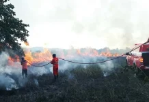 Taman Rawa Aopa Kembali Terbakar, Titik Api Terus Meluas Taman Rawa Aopa Kembali Terbakar, Titik Api Terus Meluas