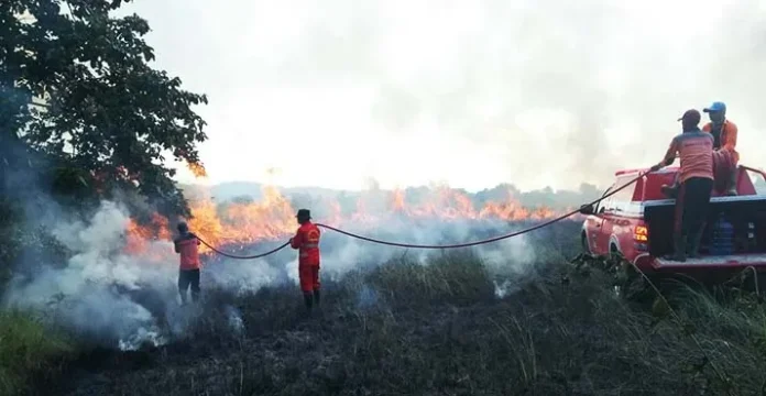 Taman Rawa Aopa Kembali Terbakar, Titik Api Terus Meluas