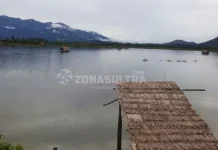 Hore, Petani Korban Banjir di Konut Terima Bantuan Benih Banjir Rendam 480 Hektare Sawah di Konut