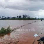 Banjir Tidak Pengaruhi Stok Pangan di Konawe Banjir Konawe, Ratusan Hektar Sawah Gagal Panen
