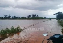 Banjir Tidak Pengaruhi Stok Pangan di Konawe Banjir Konawe, Ratusan Hektar Sawah Gagal Panen