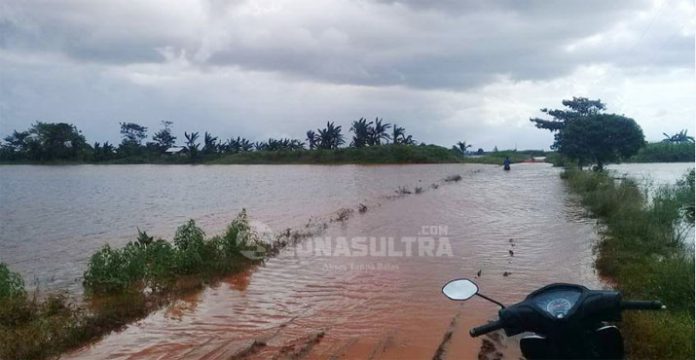 Banjir Konawe, Ratusan Hektar Sawah Gagal Panen