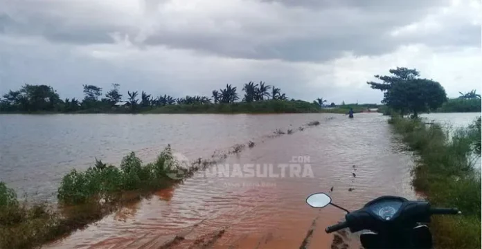 banjir konawe1 Banjir Konawe, Ratusan Hektar Sawah Gagal Panen